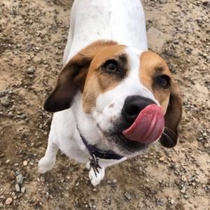 Meet your Posher, Jeff